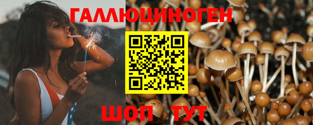 Избербаш  Галлюциногенные грибы прущие грибы  Вход с VPN 